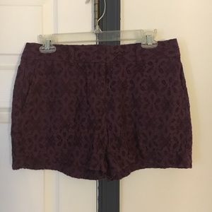 Plum shorts
